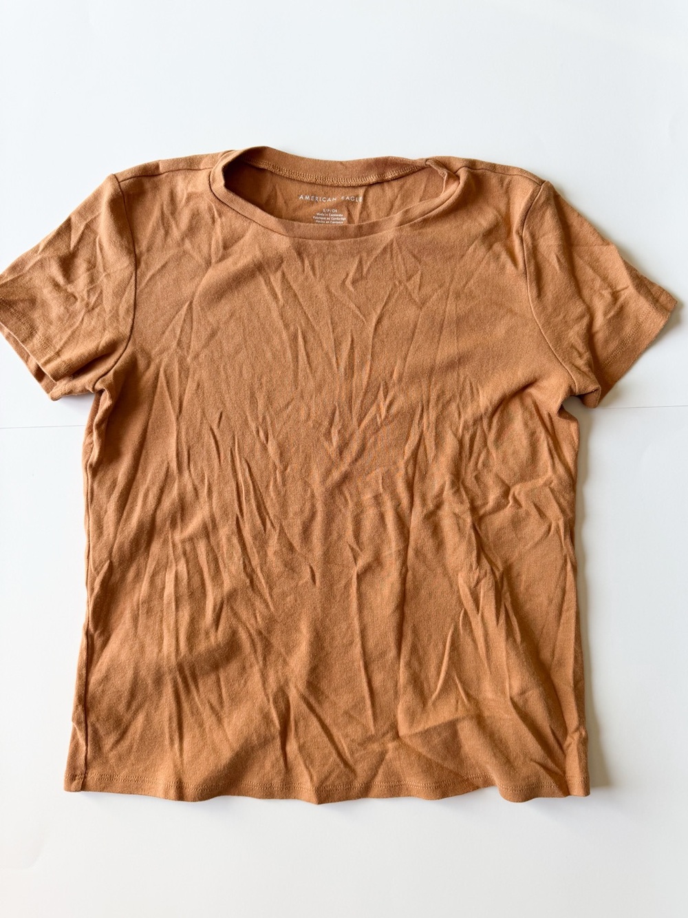 American Eagle Outfitters Short Sleeve Crewneck Tee in Rust